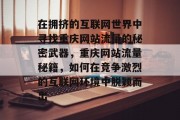 在拥挤的互联网世界中寻找重庆网站流量的秘密武器，重庆网站流量秘籍，如何在竞争激烈的互联网环境中脱颖而出