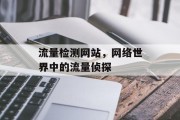 流量检测网站，网络世界中的流量侦探