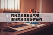 网站流量查看全攻略，揭秘网站流量分析技巧
