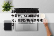 SEO网站优化方案案例分析，SEO网站优化，案例分析与策略建议
