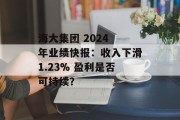 海大集团 2024 年业绩快报：收入下滑1.23% 盈利是否可持续？