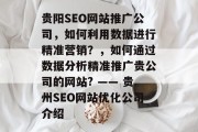 贵阳SEO网站推广公司,如何利用数据进行精准营销?,如何通过数据分析精准推广贵公司的网站? —— 贵州SEO网站优化公司介绍 贵阳SEO网站推广公司,如何利用数据进行精准营销?,如何通过数据分析精准推广贵公司的网站? —— 贵州SEO网站优化公司介绍