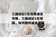 三国战纪2无双版通关攻略,三国战纪2无双版,如何顺利通关攻略