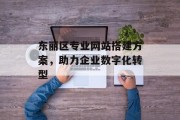 东丽区专业网站搭建方案，助力企业数字化转型