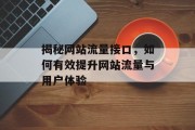 揭秘网站流量接口，如何有效提升网站流量与用户体验