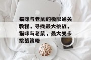 猫咪与老鼠的极限通关教程,寻找最大挑战,猫咪与老鼠,最大关卡挑战策略