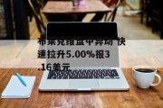 布莱克维盘中异动 快速拉升5.00%报3.16美元