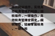 国税网站插件，实现高效税务管理的利器，国税插件，一键操作，高效税务管理全搞定，国税插件，轻松掌握税务，一键办税
