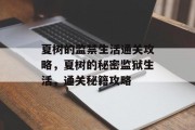 夏树的监禁生活通关攻略,夏树的秘密监狱生活,通关秘籍攻略