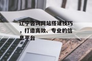 辽宁咨询网站搭建技巧，打造高效、专业的信息平台