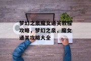 梦幻之泉魔女通关教程攻略，梦幻之泉，魔女通关攻略大全
