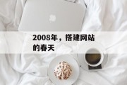 2008年，搭建网站的春天