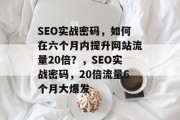 SEO实战密码,如何在六个月内提升网站流量20倍?,SEO实战密码,20倍流量6个月大爆发