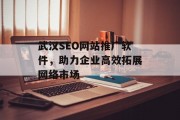 武汉SEO网站推广软件，助力企业高效拓展网络市场