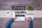 causality 游戏攻略