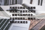 苏州优化网站，从策略到实践，企业优化网站，策略与实践的结合，企业网站优化，策略与实践的完美结合