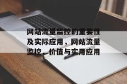 网站流量监控的重要性及实际应用，网站流量监控，价值与实用应用