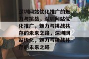 深圳网站优化推广的魅力与挑战，深圳网站优化推广，魅力与挑战共存的未来之路，深圳网站优化，魅力与挑战并存的未来之路