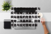 流量屏蔽网站的危害与应对策略，流量屏蔽，网站面临的危害与应对策略，流量屏蔽，网络攻击与应对策略详解