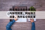 网站独立流量的重要性与如何利用，网站独立流量，为什么它如此重要？