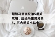 超级马里奥兄弟5通关攻略，超级马里奥兄弟5，五大通关小贴士
