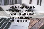 如何在上海网站优化中赚取利润？，上海SEO新手，网站优化赚钱之道，上海SEO新手攻略，赚钱之道！