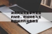 湖南网站流量攀升背后的秘密，地域特色与互联网经济的深度融合