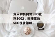 深入解析网站SEO查询1002，揭秘高效SEO优化策略