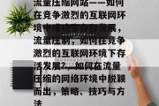 流量压缩网站——如何在竞争激烈的互联网环境中成功生存和发展，流量压制，如何在竞争激烈的互联网环境下存活发展?，如何在流量压缩的网络环境中脱颖而出，策略、技巧与方法