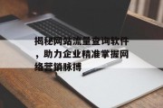 揭秘网站流量查询软件，助力企业精准掌握网络营销脉搏