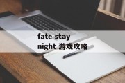 fate stay night 游戏攻略