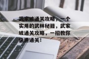 武家坡通关攻略，一个实用的武林秘籍，武家坡通关攻略，一招教你快速通关！