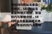 揭秘SEO网站流量盈利模式，SEO网站流量盈利模式揭秘，背后技巧与策略分析，SEO网站流量盈利模式揭秘，背后的技巧与策略分析