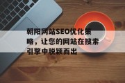 朝阳网站SEO优化策略，让您的网站在搜索引擎中脱颖而出