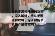 单机手游格斗通关攻略,深入解析,格斗手游破解攻略,深入解析单机格斗通关技巧