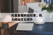 批量查看网站权重，助力网站优化提升