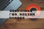 深度解析SEO网站推广服务，助您在互联网时代脱颖而出