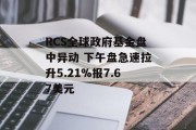 RCS全球政府基金盘中异动 下午盘急速拉升5.21%报7.67美元