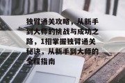 独臂通关攻略，从新手到大师的挑战与成功之路，1招掌握独臂通关秘诀，从新手到大师的全程指南