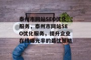 泰州市网站SEO优化服务，泰州市网站SEO优化服务，提升企业在线曝光率的最优策略