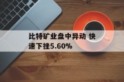 比特矿业盘中异动 快速下挫5.60%