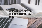 第十关通关攻略攻略,第十关通关攻略,新手指南
