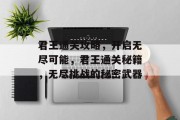 君王通关攻略，开启无尽可能，君王通关秘籍，无尽挑战的秘密武器