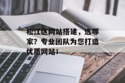 松江区网站搭建，选哪家？专业团队为您打造优质网站！