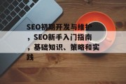 SEO初期开发与维护，SEO新手入门指南，基础知识、策略和实践