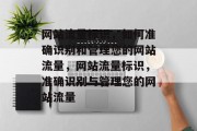 网站流量标识，如何准确识别和管理您的网站流量，网站流量标识，准确识别与管理您的网站流量