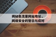 揭秘色流量网站地址，网络安全的警示与应对