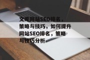 文库网站SEO排名，策略与技巧，如何提升网站SEO排名，策略与技巧分析