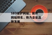 SEO维护网站，提升网站排名，助力企业品牌发展