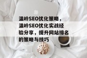 温岭SEO优化策略，温岭SEO优化实战经验分享，提升网站排名的策略与技巧